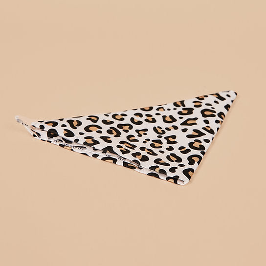 Savanna Leopard's Kit