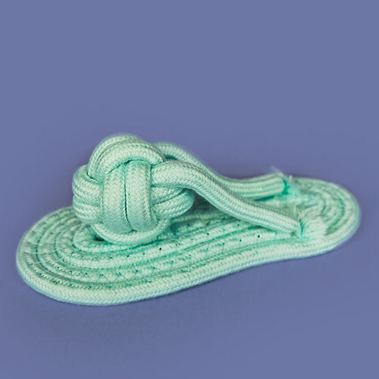 Cotton Rope Dog Toys Set | Green