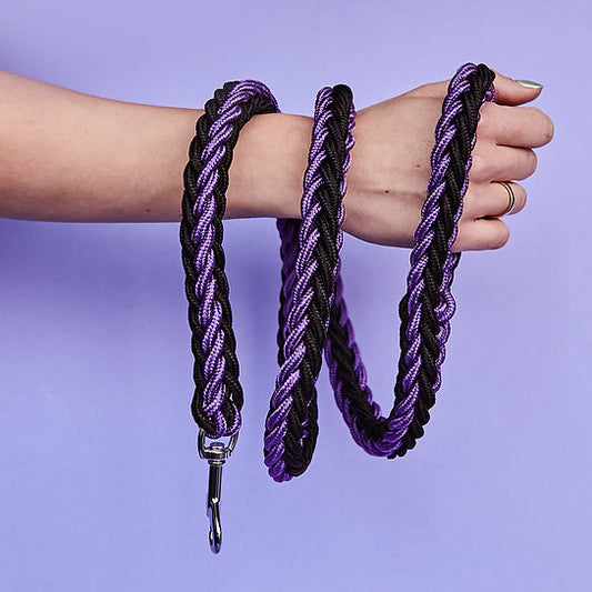 Twisted Leash with Martingale Collar | Purple