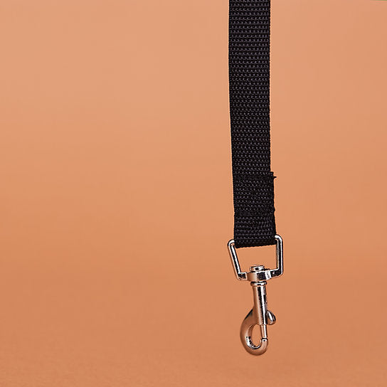 Training Dog Leash | Black | 10 meter