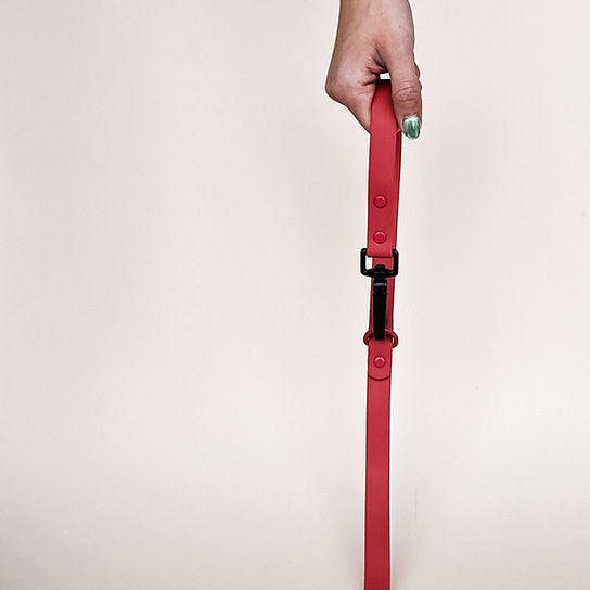 Waterproof Leash with Collar | Red | Medium