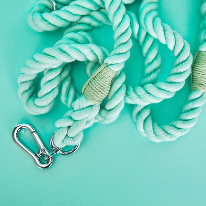 Twisted Rope Dog Leash | Mint Green