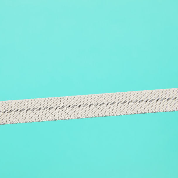 Innovative Dog Leash | Mint Green