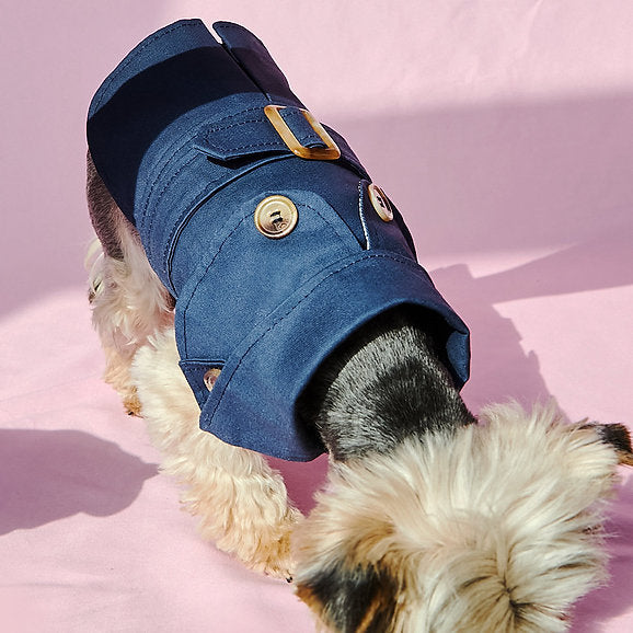 British Style Dog Coat | Blue