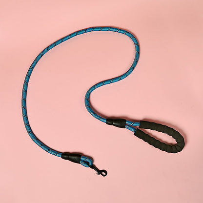 Reflective Nylon Dog Leash | Blue