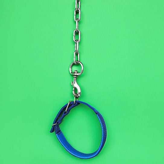 Chain Leash with Collar | Blue