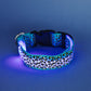 LED Dog Collar | Blue