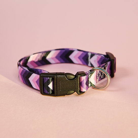 Patterned Dog Leash and Collar Set | Purple
