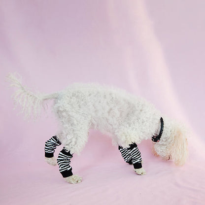 Dog Leg Warmer | Zebra Print