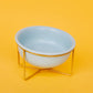 Ceramic Dog Bowls | Blue & Gold