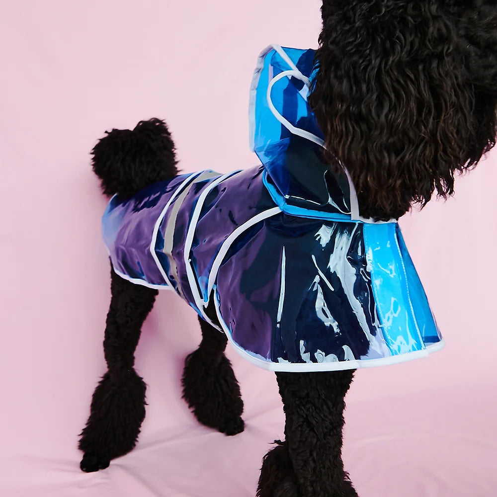 Clear Big Dog Raincoat | Blue