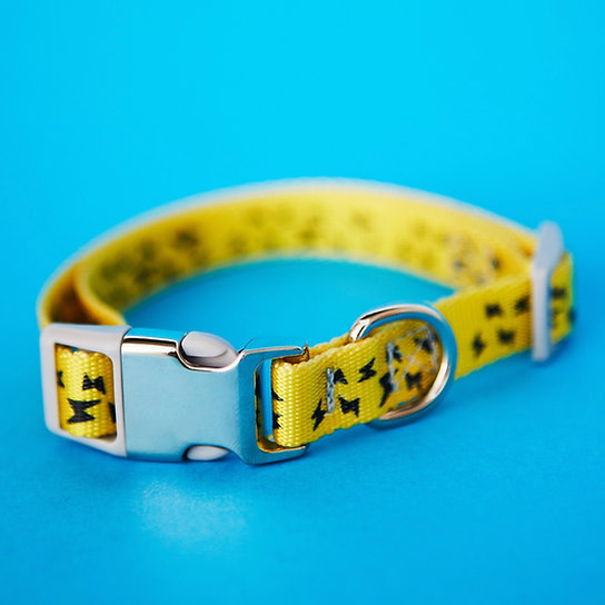 Funky Nylon Dog Collar | Yellow & Black
