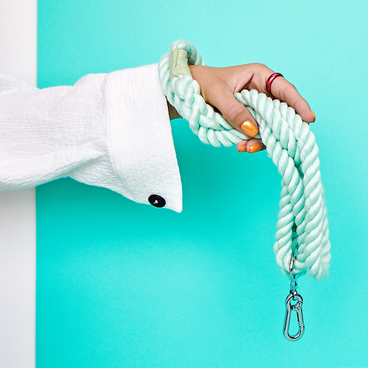 Twisted Rope Dog Leash | Mint Green