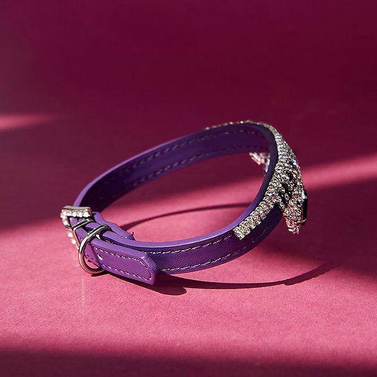 Luxurious Leather Dog Collar | Purple