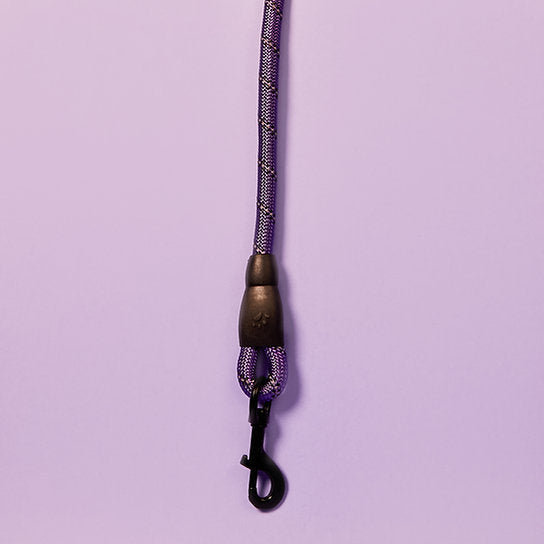 Reflective Nylon Dog Leash | Purple