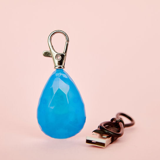 LED Hondenhalsband Hanger | Blauw