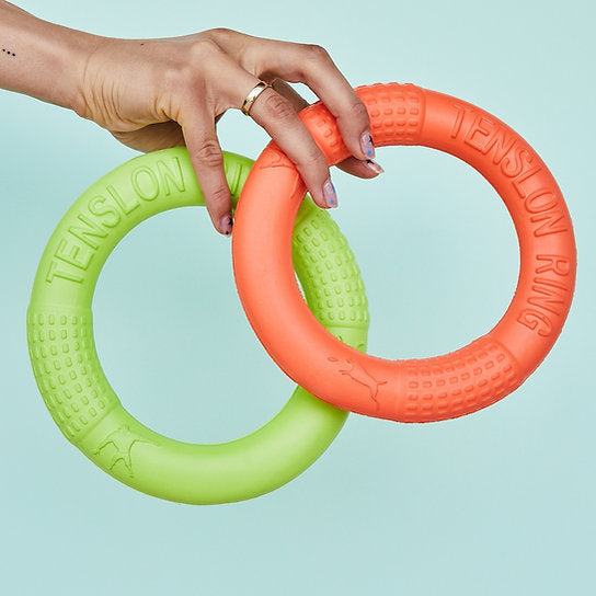 Chewable Floating Dog Toy | Orange