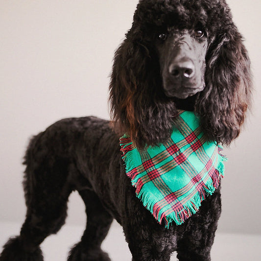 Triangle Cotton Dog Bandana | Green & Red