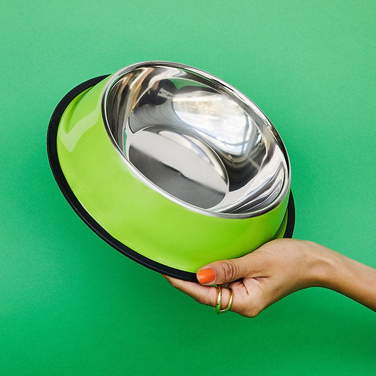 Painted Non-Slippery Bowl | Green