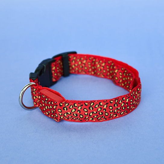 LED Dog Collar | Red