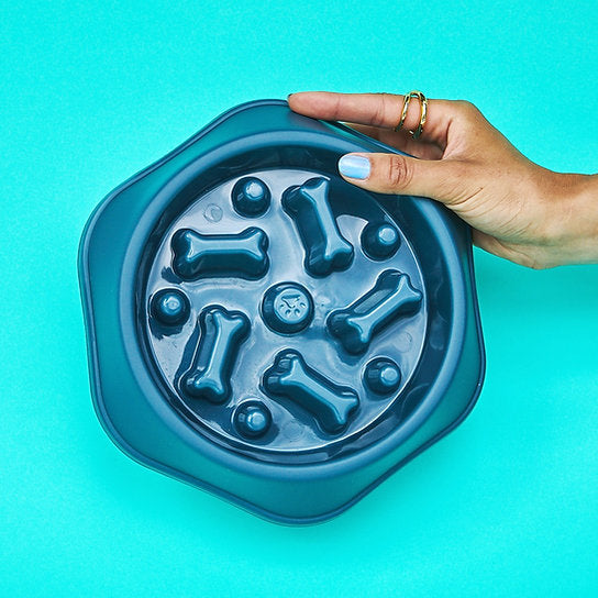 Eat-Slow Dog Bowl | Blue