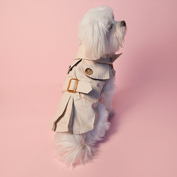 British Style Dog Coat | Cream