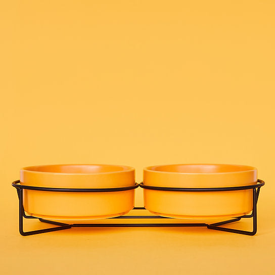 Ceramic Dog Bowls | Yellow