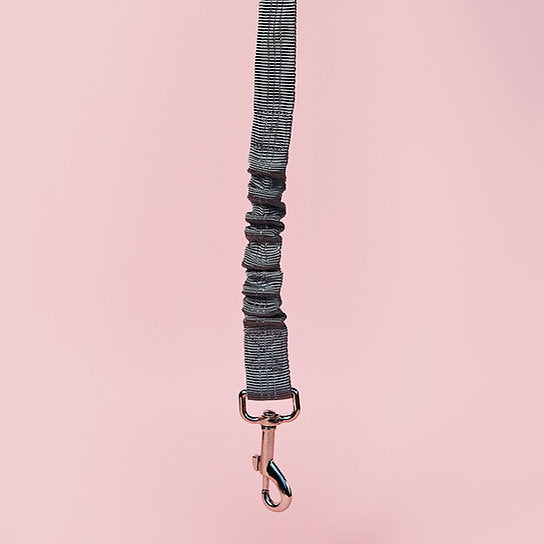 Dog Seat Belt Leash | Grey
