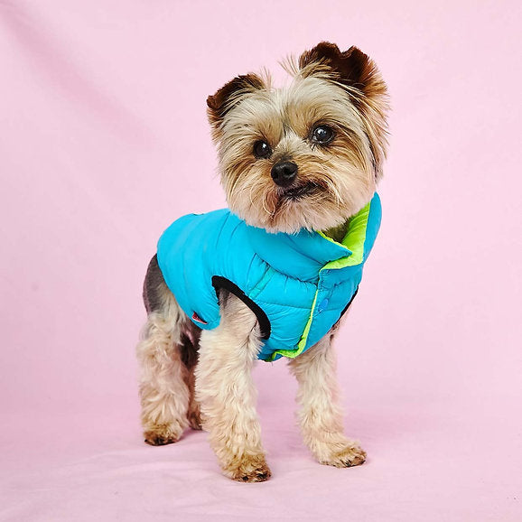 Puffer Dog Vest | Neon Green & Blue