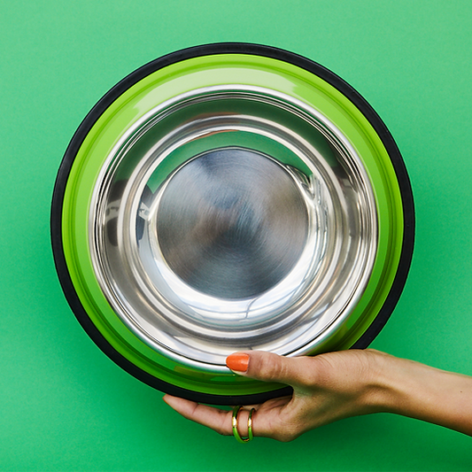 Painted Non-Slippery Bowl | Green