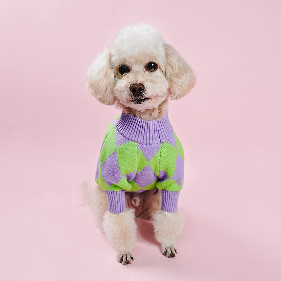 Šiltas megztinis šunims, violetinė ir žalia