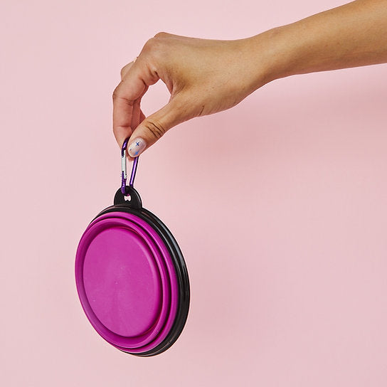 Pop-Out Hondenvoerbak | Roze