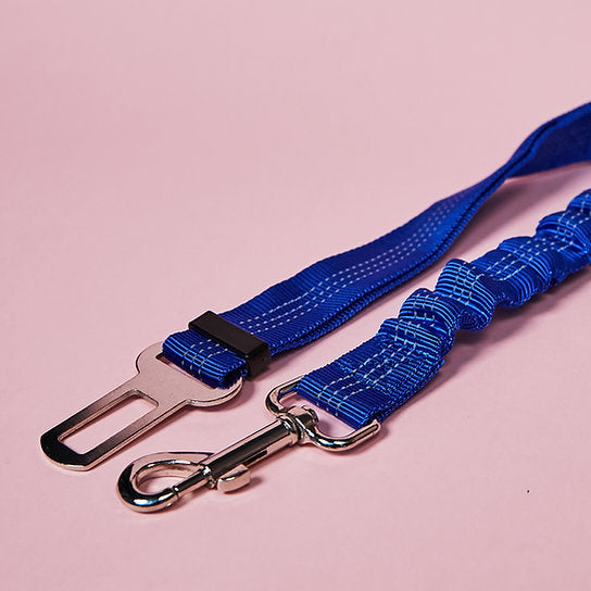 Dog Seat Belt Leash | Blue