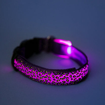 LED Dog Collar | Purple