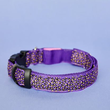 LED Dog Collar | Purple