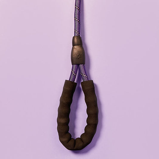 Reflective Nylon Dog Leash | Purple
