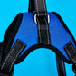 Adjustable Dog Harness | Blue