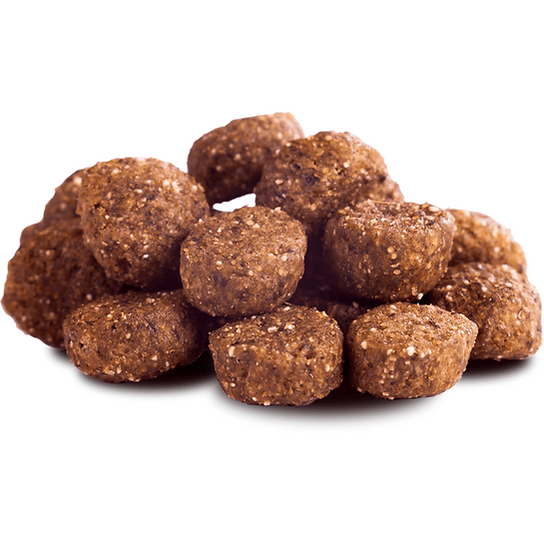 THE GOODSTUFF Dry Adult Dogs Food | Chicken | 2.5 kg