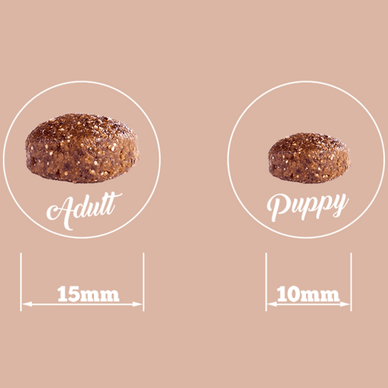 THE GOODSTUFF Dry Adult Dogs Food | Salmon | 2.5 Kg