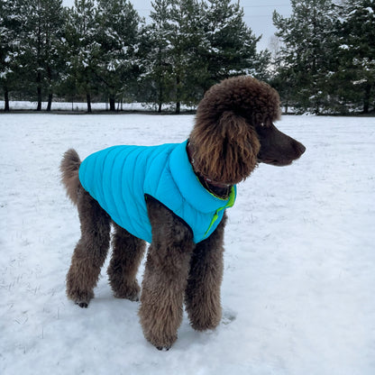 Puffer Dog Vest BIG DOGS | Neon Green & Blue